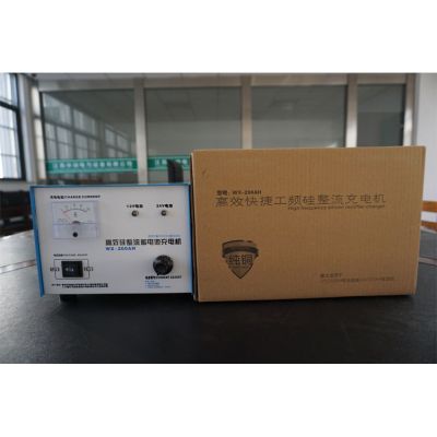 柴油發(fā)電機組蓄電池自動充電器